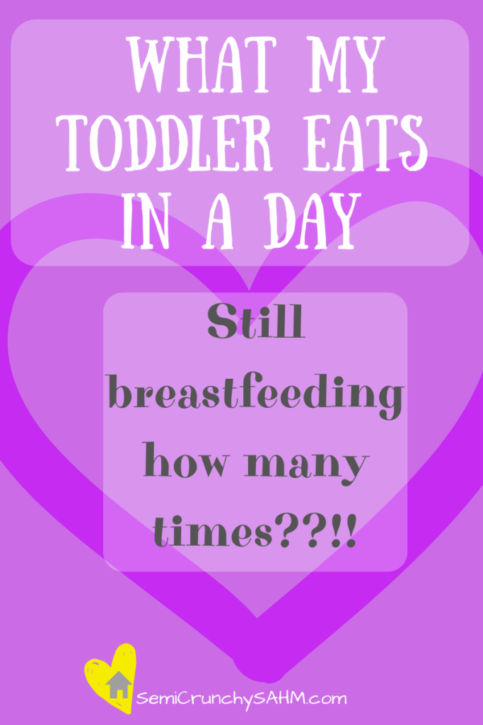 breastfeeding toddler eats in a day